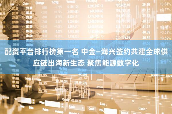 配资平台排行榜第一名 中金—海兴签约共建全球供应链出海新生态 聚焦能源数字化