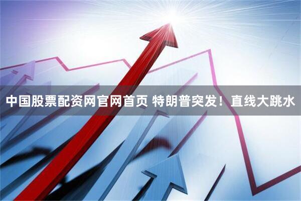 中国股票配资网官网首页 特朗普突发！直线大跳水
