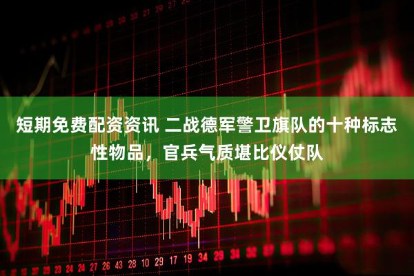短期免费配资资讯 二战德军警卫旗队的十种标志性物品，官兵气质堪比仪仗队