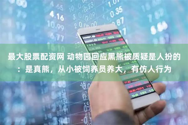 最大股票配资网 动物园回应黑熊被质疑是人扮的：是真熊，从小被饲养员养大，有仿人行为